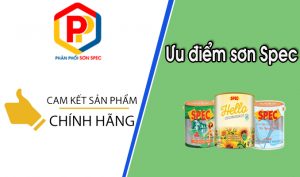 Ưu điểm của sơn Spec không nên bỏ qua