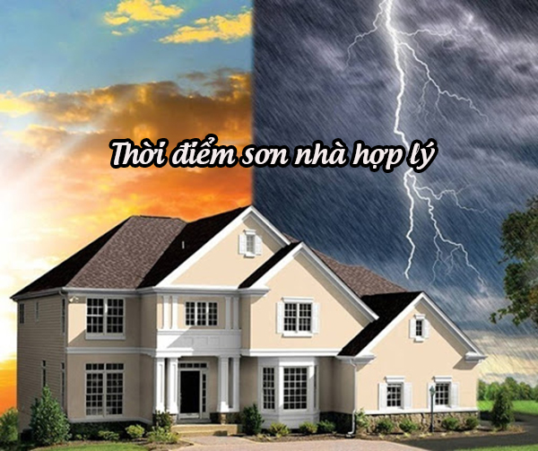 Mua sơn Spec ở đại lý phân phối nào
