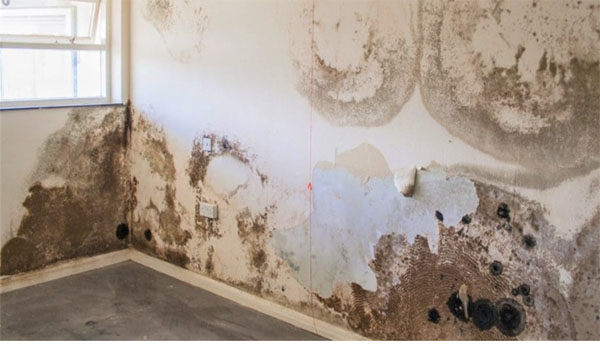 Sự cố khi sơn nhà nội thất