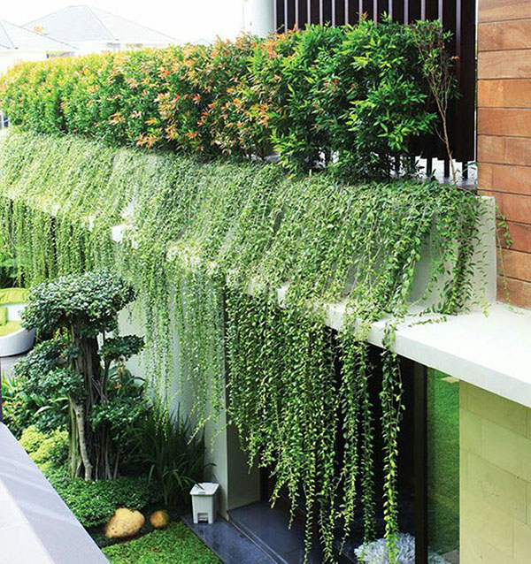 Cách sơn chống tường nhà hiệu quả