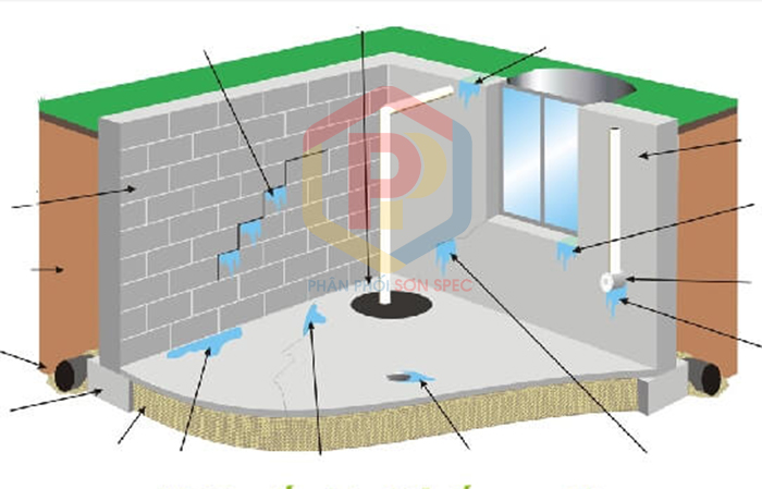 4 sai lầm khi sử dụng sơn chống thấm