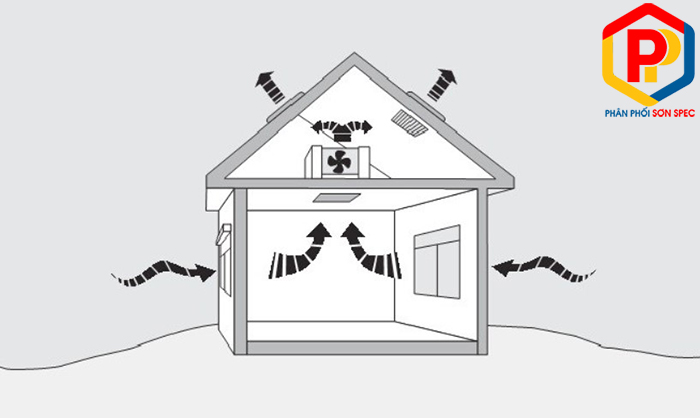 Sơn chống nóng tường nhà hiệu quả