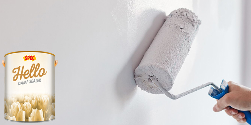 Sơn lót kháng kiềm là gì?