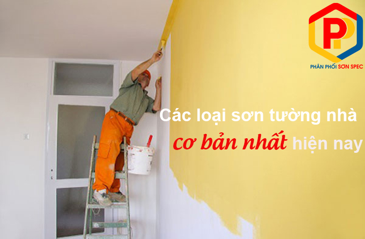 Các loại sơn tường nhà cơ bản