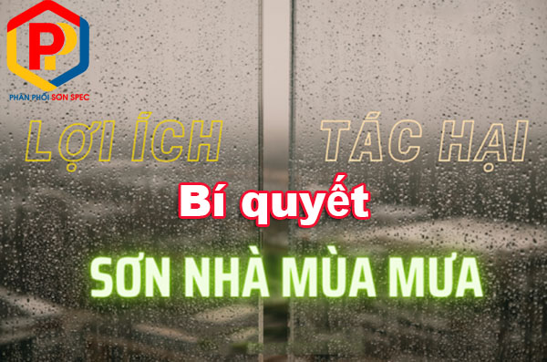 Bí quyết sơn nhà mùa mưa bão