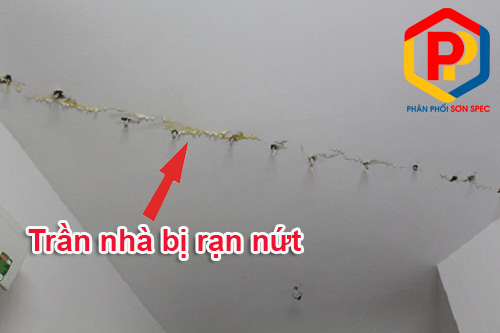 Chống thấm tường nhà hiệu quả