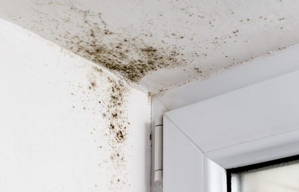 chong-tham-tuong-trong