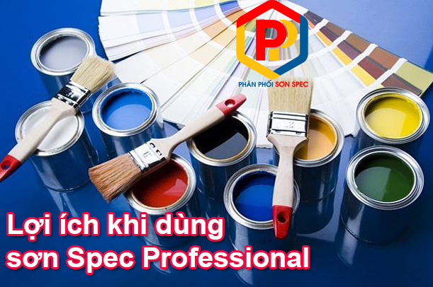 lợi ích khi dùng sơn dự án