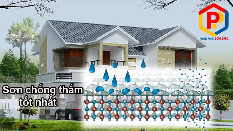 Sơn chống thấm tốt nhất cho mùa mưa