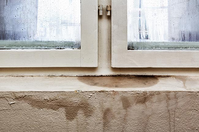 Sơn chống thấm tốt nhất cho mùa mưa