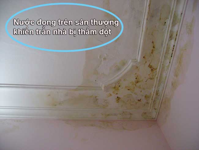 tran-nha-bi-tham-nuoc.jpg