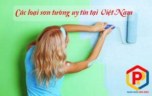 các loại sơn tường uy tín tại Việt Nam